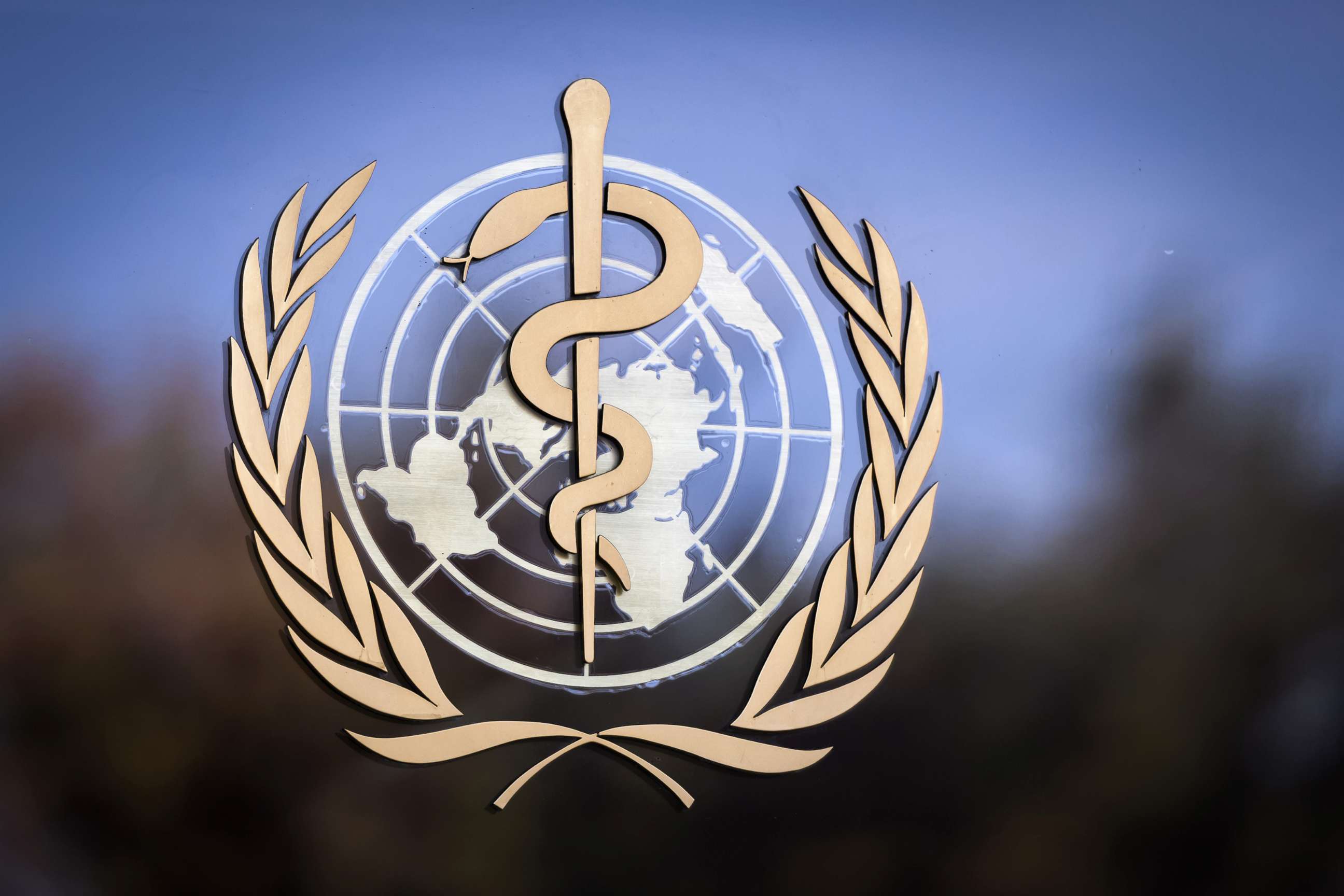 PHOTO: The logo of the World Health Organization (WHO) is pictured on the facade of the WHO headquarters.