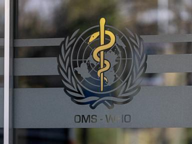 WHO officials say unclear how Russia plague lab worker died
