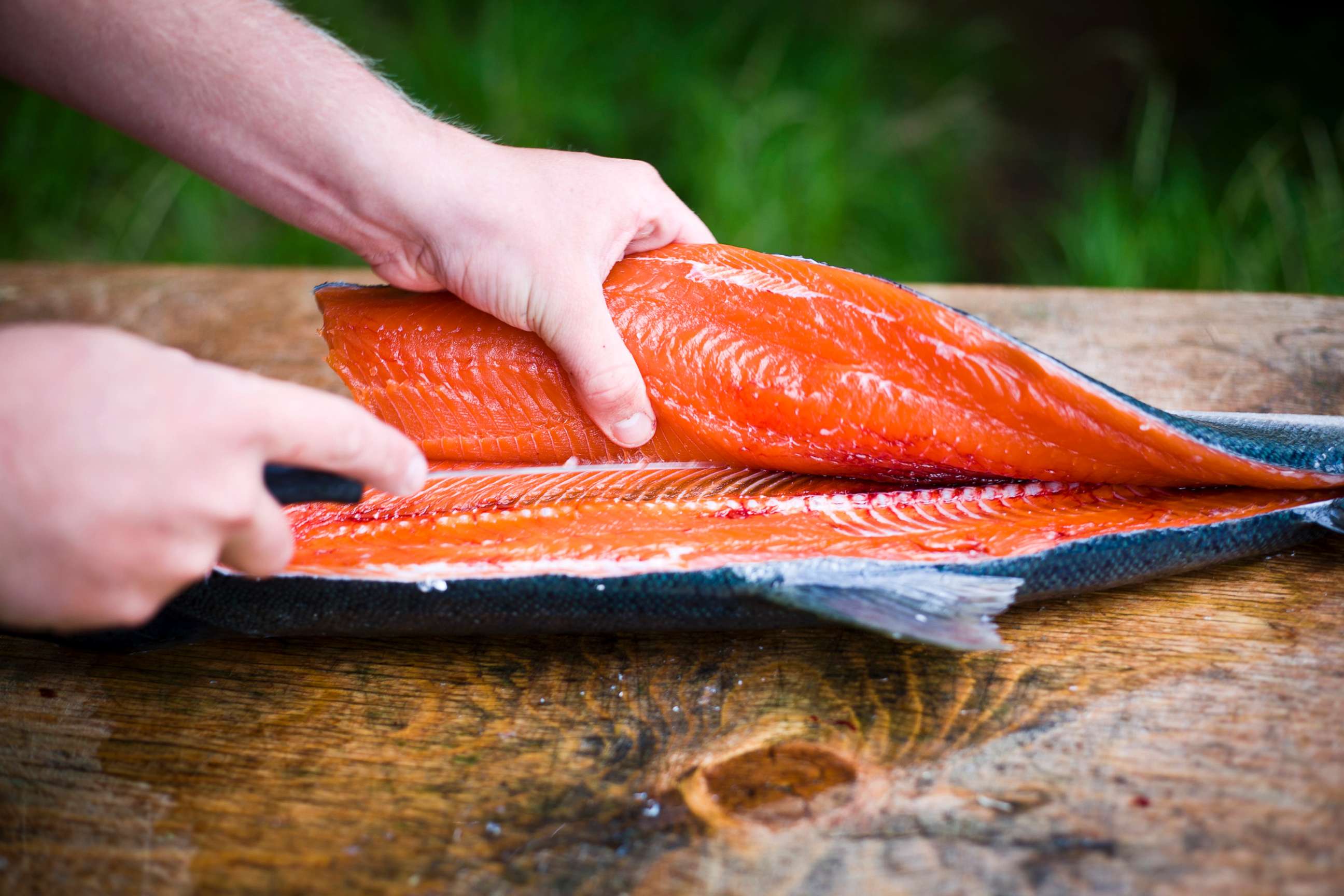 PHOTO: A person fillets a freshly caught wild salmon in an undated stock photo.