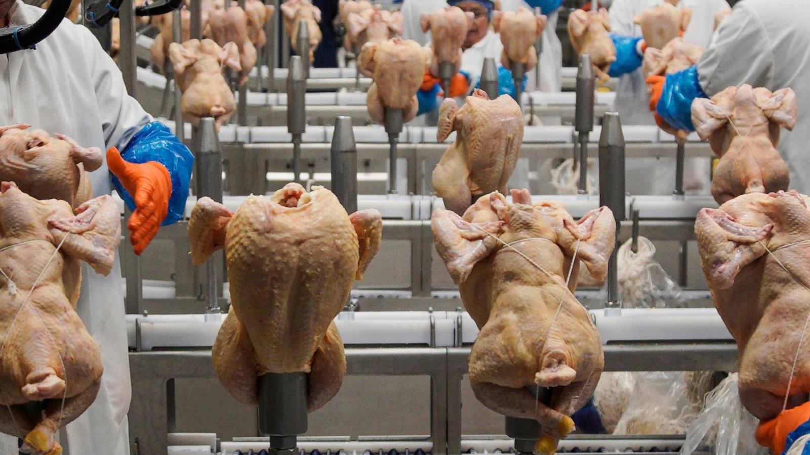 USDA withdraws a plan to limit salmonella levels in raw poultry