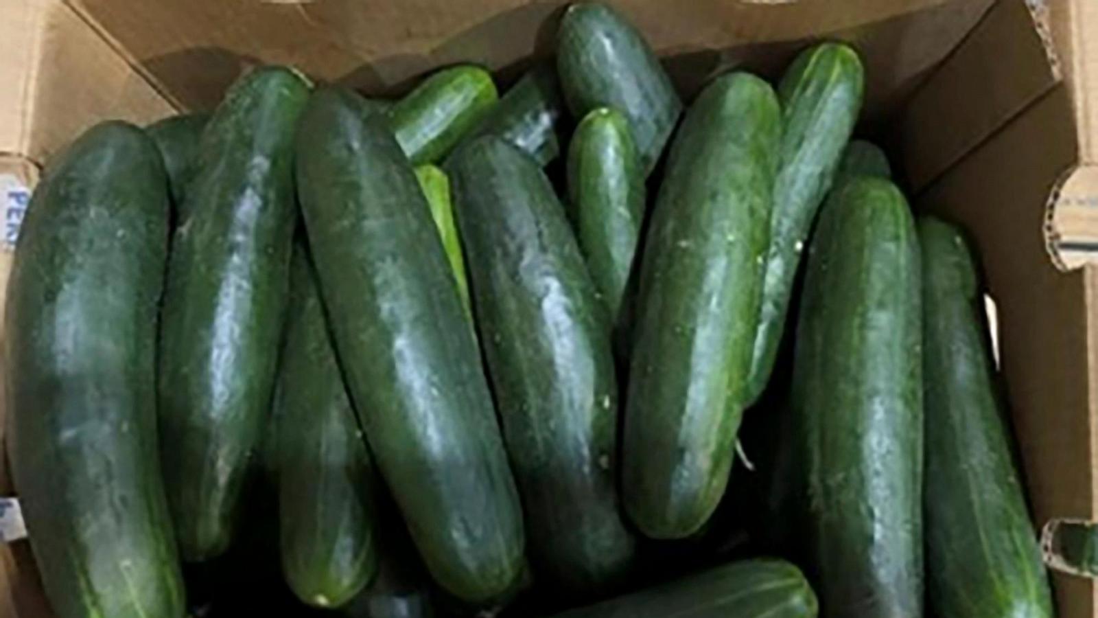 New salmonella outbreak tied to same Florida grower with tainted cucumbers last year
