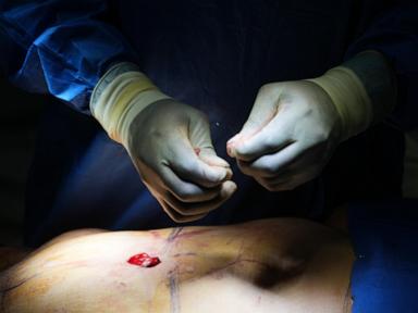 The Brutal Truth Behind the Cosmetic Boom and the Ethical Void Left in its Wake