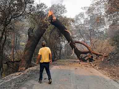 Wildfires are growing under climate change, and their smoke threatens farmworkers, study says