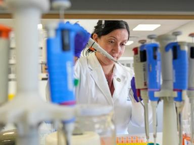  Tools to fight hantavirus show promise despite limited funding. Now researchers hope to continue