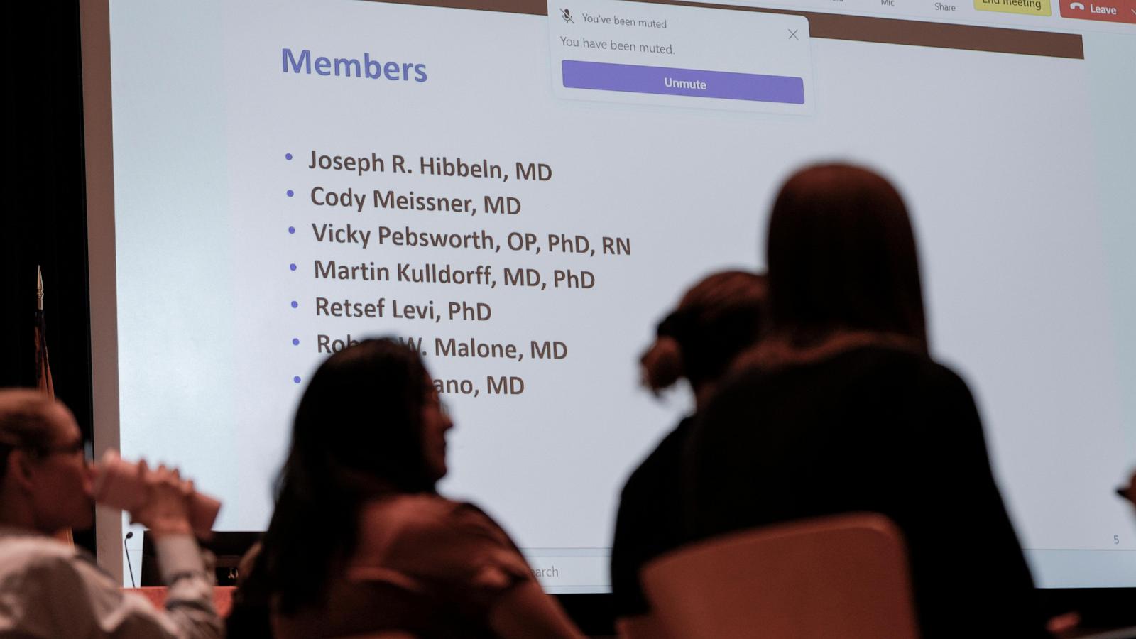 Kennedy's new vaccine advisers meet for first time