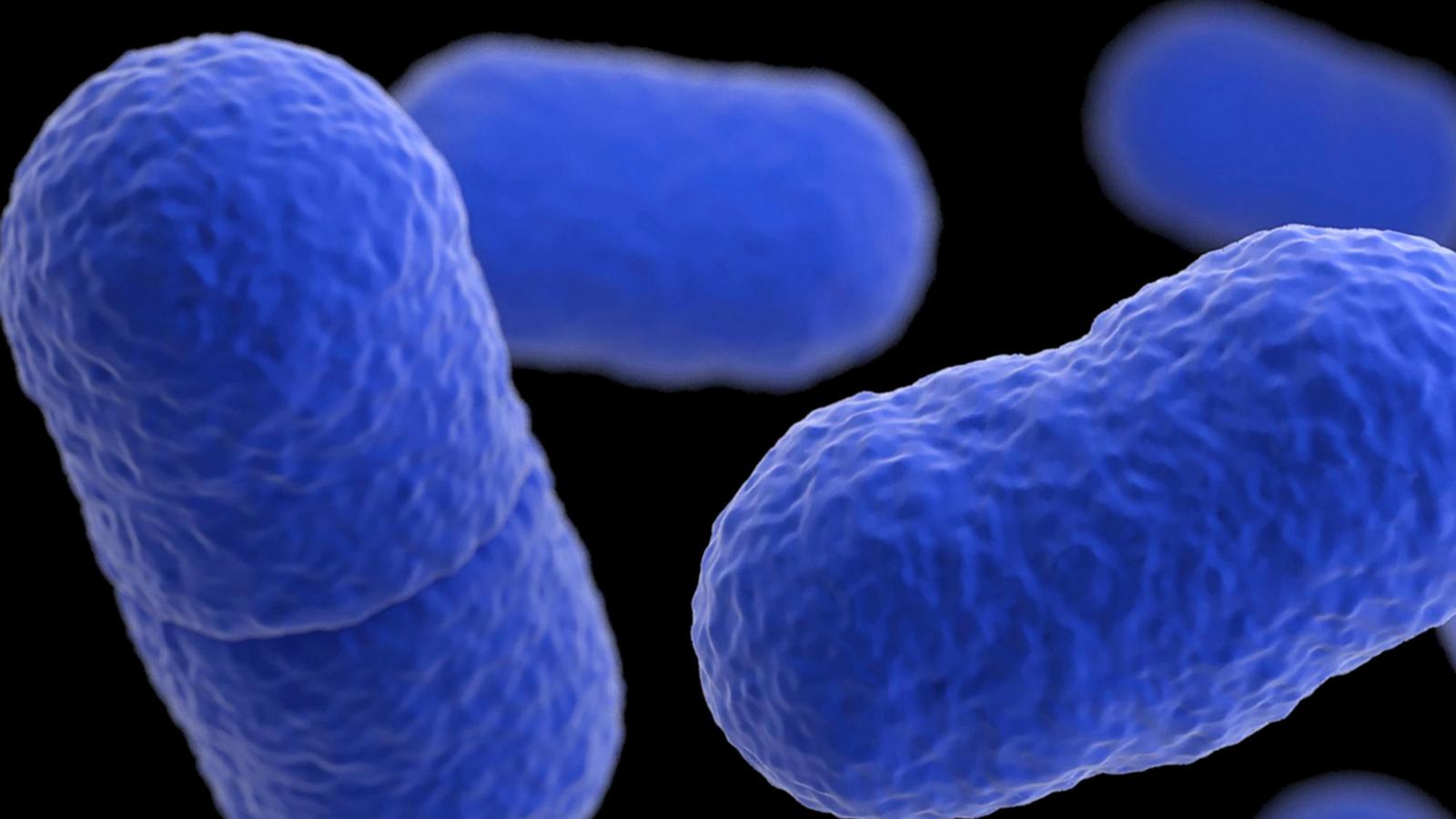 Listeria outbreak tied to Yu Shang Food leaves California infant dead and 10 people sick