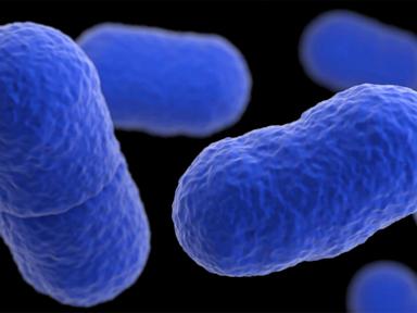 Listeria outbreak tied to Yu Shang Food leaves California infant dead and 10 people sick