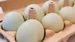  Salmonella outbreak tied to eggs has sickened 98 people since November