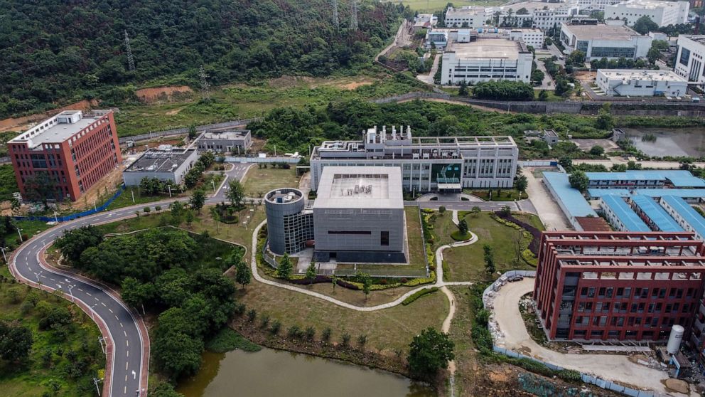 PHOTO: This aerial view shows the P4 laboratory (C) on the campus of the Wuhan Institute of Virology in Wuhan in China's central Hubei province on May 27, 2020.