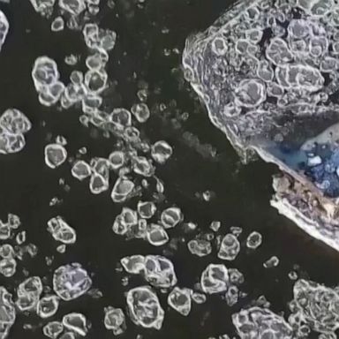 Drone footage captures spectacular footage of “shuga” ice floes on a river in Poland.