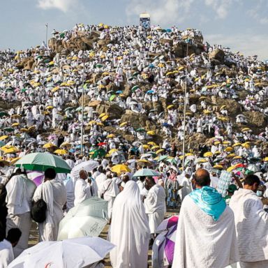 VIDEO: Hajj pilgrims, Asian Games and a meerkat weighs in: World in Photos, Aug. 21