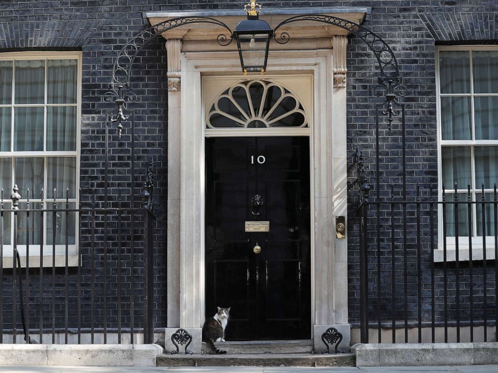 PHOTO: Larry the cat sits outside 10 Downing Street in London, May 24, 2019.