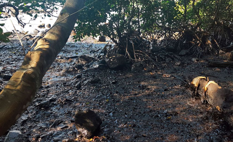 PHOTO: Debris and oil in Riviere des Creoles, Mauritius, Aug. 9, 2020.