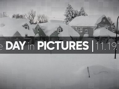 VIDEO: Day In Pictures 11.19.14