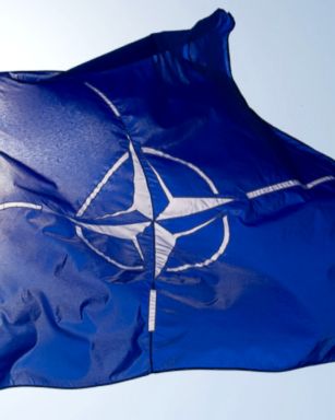 VIDEO: NATO: The Basics