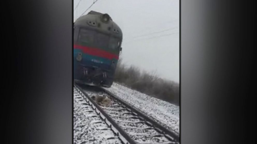 a dog refuses to leave his injured friend train