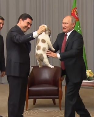 VIDEO: The president of Turkmenistan gave Putin a dog whose name means "faithful."