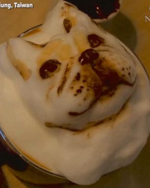 VIDEO: Baristas create adorable 3-D pet portraits for coffee shop customers