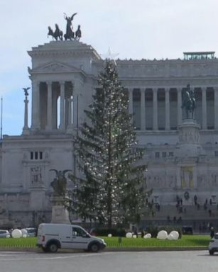 VIDEO: The city's official Christmas tree has quickly become a holly, jolly joke.