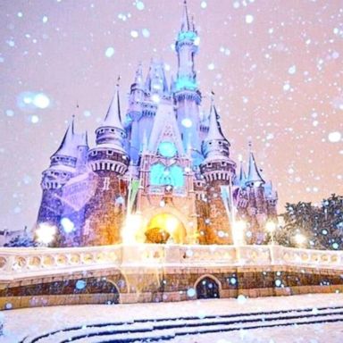 VIDEO: The park was blanketed in snow after five to seven inches fell in Tokyo -- the most the city has seen in four years.