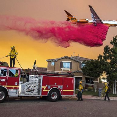 VIDEO: Plane drops fire retardant and a lioness' right hook: World in Photos Aug. 9