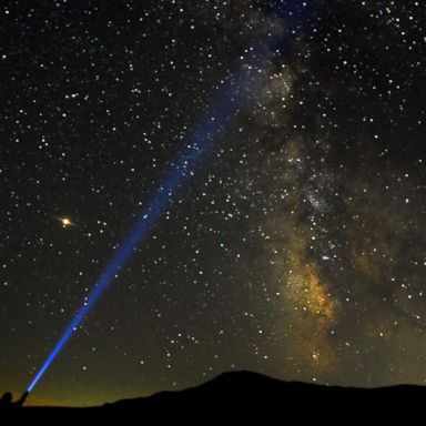 VIDEO: Meteors streak, a cow on the beach and storms bring chaos: World in Photos, Aug 14