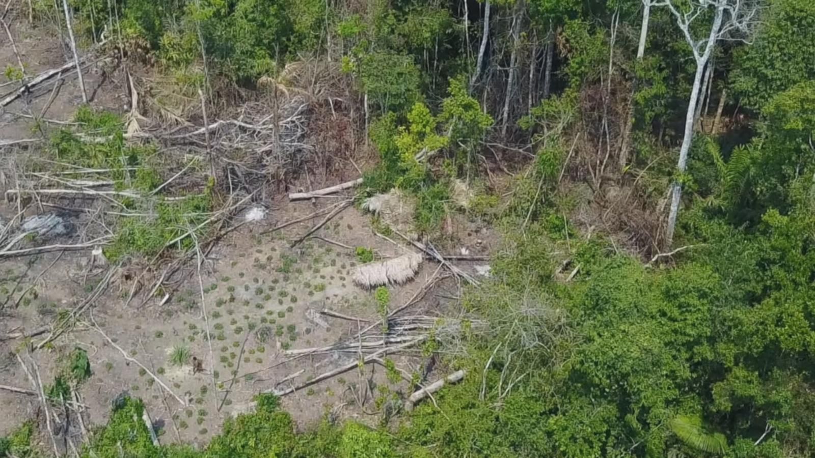 Drone footage reveals isolated Amazon tribe without any known contact ...