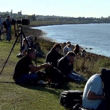 VIDEO: Beluga whale spotted in River Thames outside London