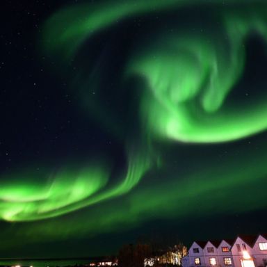 VIDEO: Spectacular northern lights, rabbit riders and Oktoberfest: World in Photos, Oct. 8