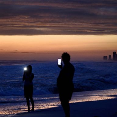 VIDEO: Hurricane Michael, a Red Sox celebration and tiger cubs play: World in Photos, Oct. 10