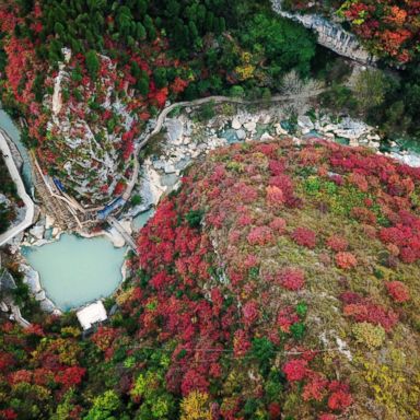 VIDEO: Autumn in China, Pompeii excavation, Tokyo street fashion: World in Photos, Oct. 16