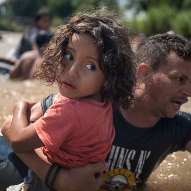 VIDEO: A river crossing, autumn splendor, Iraqi pilgrims: World in Photos, Oct. 30