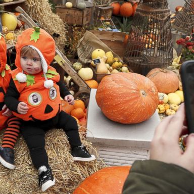 VIDEO: Halloween toddlers, protesters and prayer: World in Photos, Oct. 31