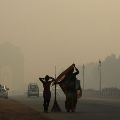 VIDEO: Dangerous pollution levels, confrontations with Trump, earth's glow: World in Photos, Nov. 8