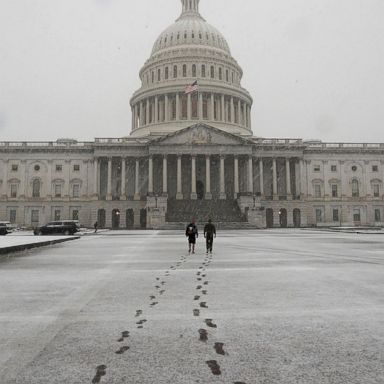 VIDEO: First snowfall, a foggy forest, migrants view the US: World in Photos, Nov. 15