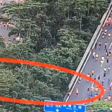 VIDEO: Athletes in Shenzhen, China, cut through foliage, shaving off about a mile and a half from the run, Chinese state news agency Xinhua reported.