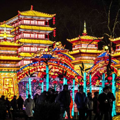 VIDEO: Silk lanterns, a playful panda, art in London: World in Photos, Dec. 13