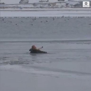 VIDEO: Police diver jumps into frozen lake to rescue puppy that got stuck in the ice.