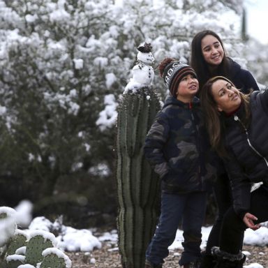 VIDEO: Snow-covered cactus, measuring a turtle, shutdown of the zoo: World in Photos, Jan. 3