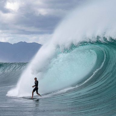 VIDEO: Surf competition, town snowed in and animals blessed: World in Photos