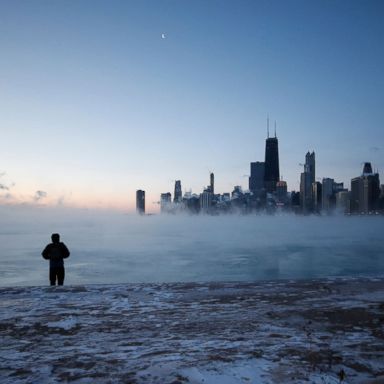 VIDEO: Frigid temperatures, white lion, diamond week: World in Photos, Jan. 30