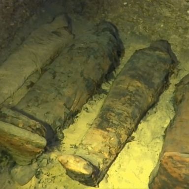 VIDEO: Dozens of mummies have been unearthed at an ancient burial site in Upper Egypt, officials said.