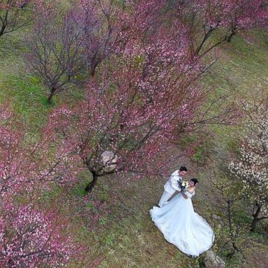 VIDEO: Love among the blossoms, rare black leopard and fashion: World in Photos, Feb. 14