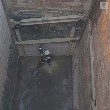 VIDEO: Firefighters in Budapest scaled down a nearly 33-foot pit to retrieve a cat that had fallen down and was unable to climb back out.