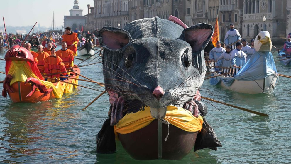 watch-the-venice-carnival-nigerian-elections-anniversary-of-libyas-revolution watch-the-venice-carnival-nigerian-elections-anniversary-of-libyas-revolution