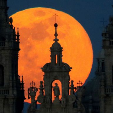 VIDEO: A supermoon, Washington snowstorm, Lunar New Year: World in Photos, Feb. 20