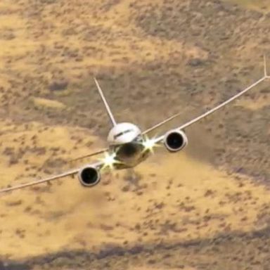 VIDEO: Airlines ground Boeing jet model that crashed 