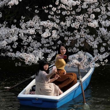 VIDEO: Cherry blossoms in Tokyo, Mozambique after Idai, Art Basel: World in Photos, March 27