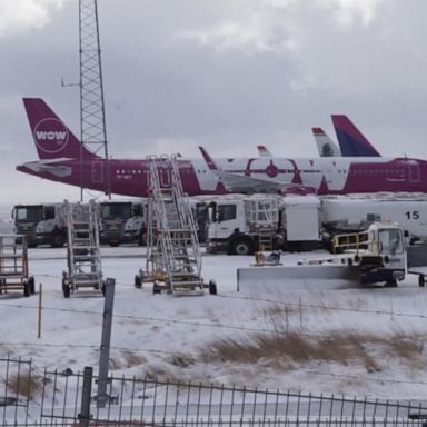 VIDEO: WOW Air ceases all operations and strands passengers in the US and Europe