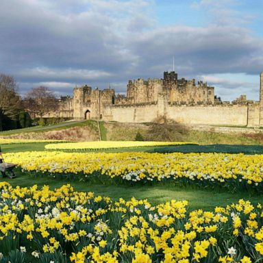 VIDEO: High-rise fire, a teacher wins, a sea of daffodils: World in Photos, March 28